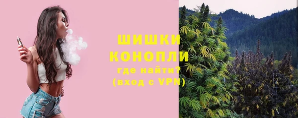 индика Вязьма