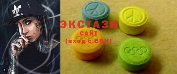 индика Верхний Тагил
