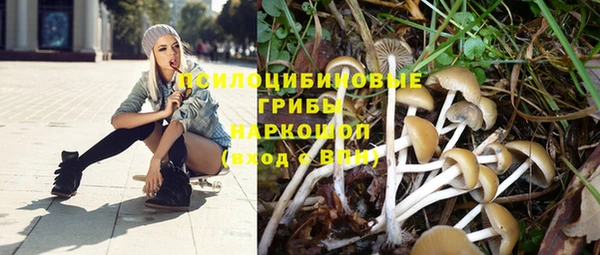 круглые Вязники