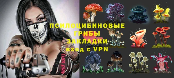 ешки Волосово