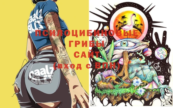 амф Вяземский
