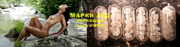 индика Вязьма
