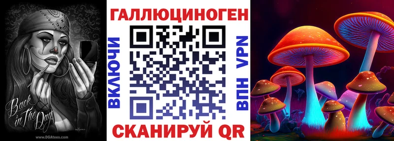 Купить закладки  Ртищево  Псилоцибиновые грибы Psilocybe 